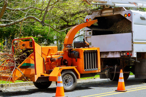 Professional Tree Removal and Landscaping Services in Germantown, IL